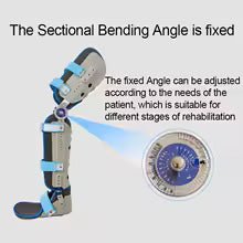 Orthopaedic Knee Joint Support