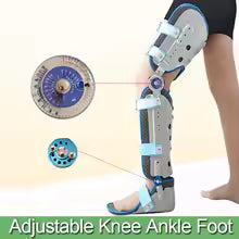 Orthopaedic Knee Joint Support